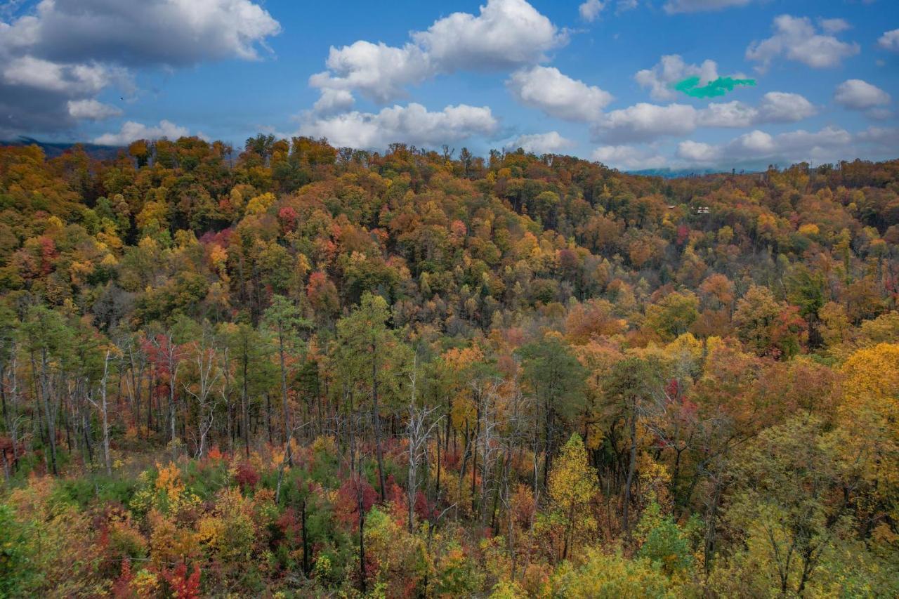 2021 Cabin - Gorgeous Fall Views, GameRm, HotTub, Xbox, Bears, Gatlinburg 10min&Ober 5min Exterior foto